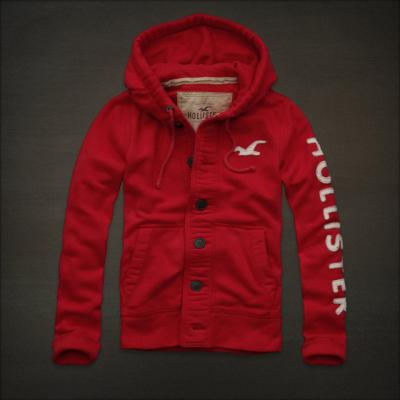 Hollister Men Hoodies-59